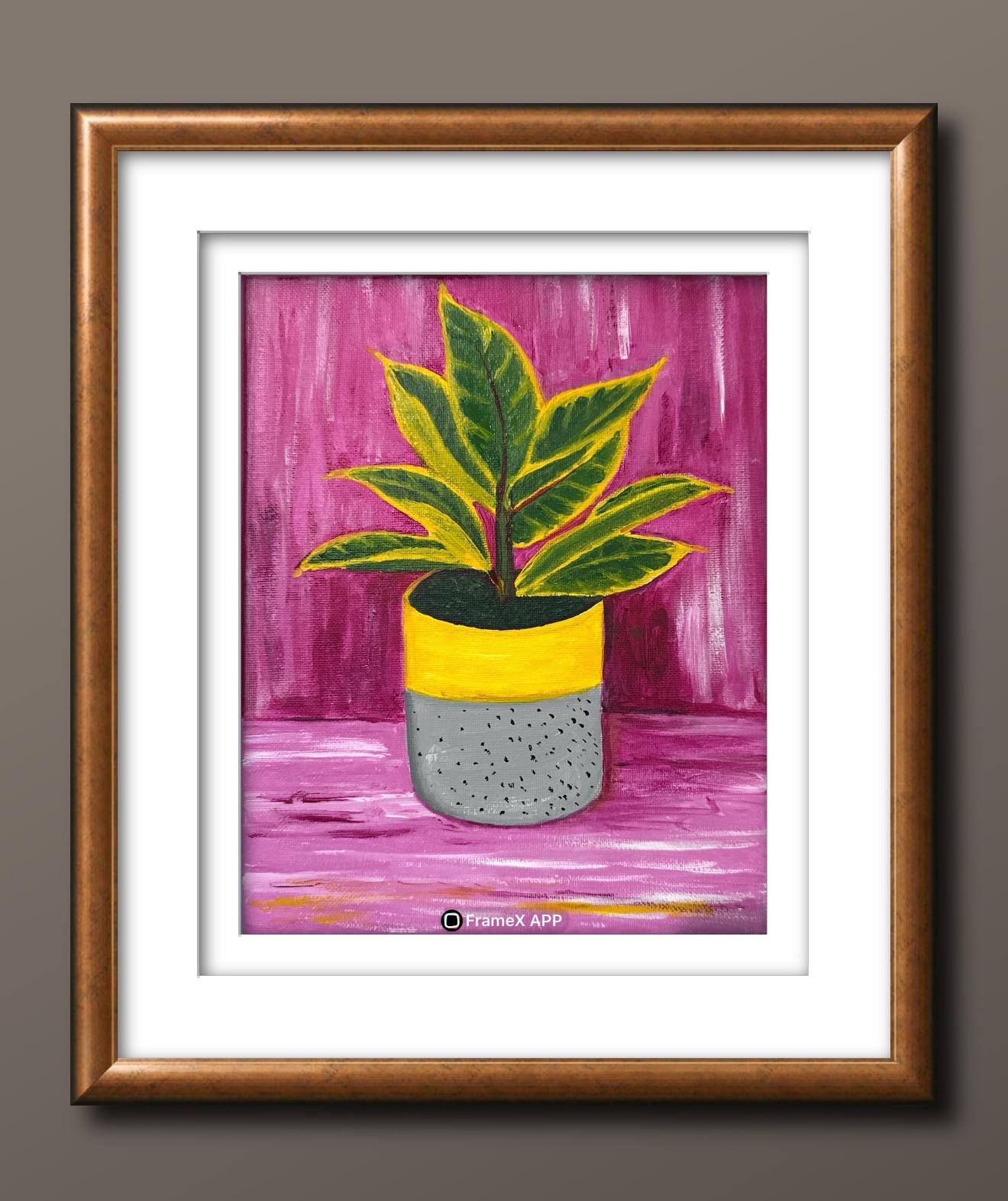 WhatsApp Image 2025-10-14 at 17.11.10 (1)